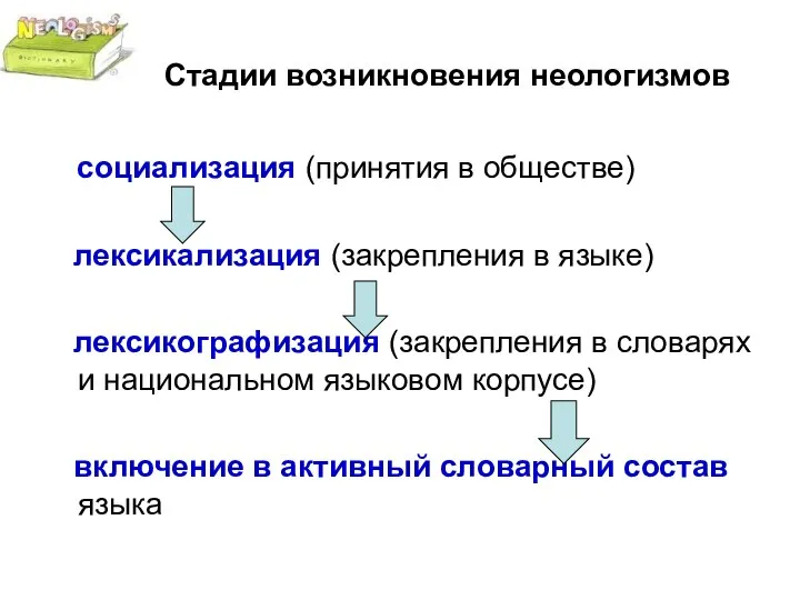 Стадии возникновения неологизмов социализация (принятия в обществе) лексикализация (закрепления в языке) лексикографизация