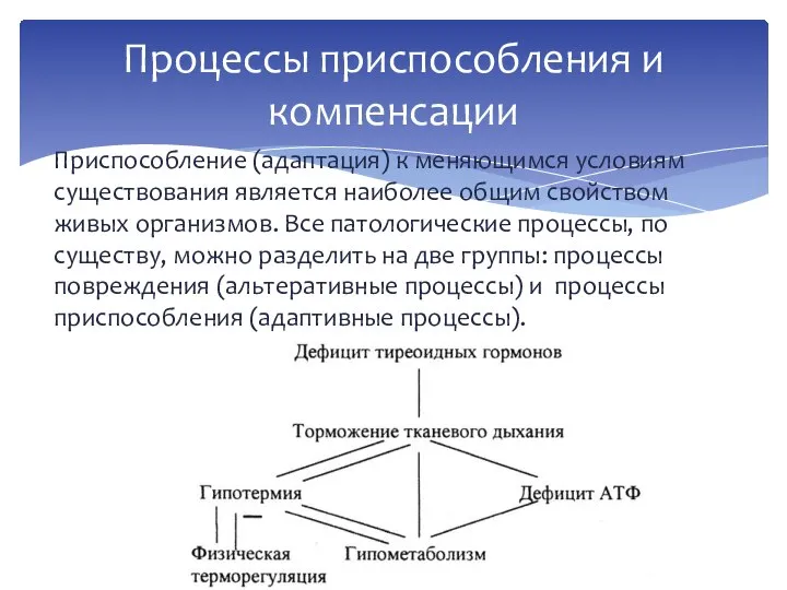 Приспособление (адаптация) к меняющимся условиям существования является наиболее общим свойством живых организмов.