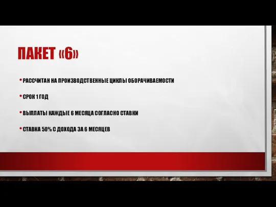 ПАКЕТ «6» РАССЧИТАН НА ПРОИЗВОДСТВЕННЫЕ ЦИКЛЫ ОБОРАЧИВАЕМОСТИ СРОК 1 ГОД ВЫПЛАТЫ КАЖДЫЕ