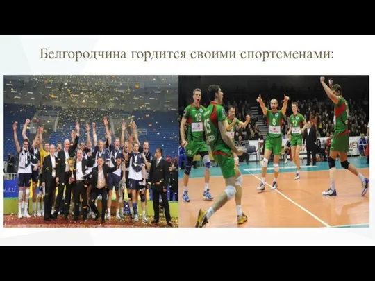 Белгородчина гордится своими спортсменами: