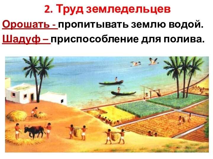 2. Труд земледельцев Орошать - пропитывать землю водой. Шадуф – приспособление для полива.