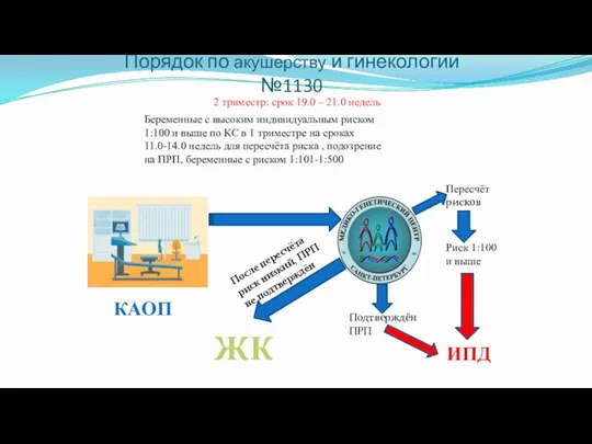 Порядок по акушерству и гинекологии №1130 2 триместр: срок 19.0 – 21.0