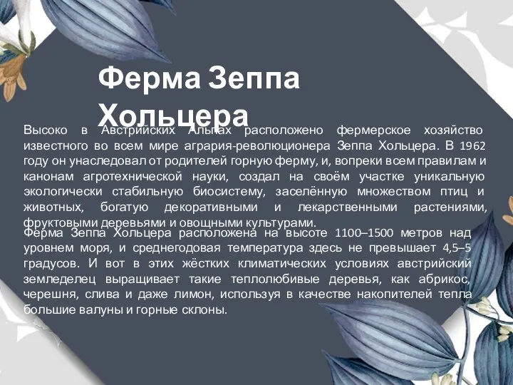 Высоко в Австрийских Альпах расположено фермерское хозяйство известного во всем мире агрария-революционера