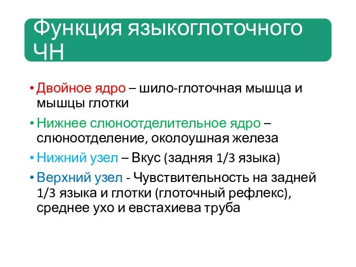 Двойное ядро – шило-глоточная мышца и мышцы глотки Нижнее слюноотделительное ядро –