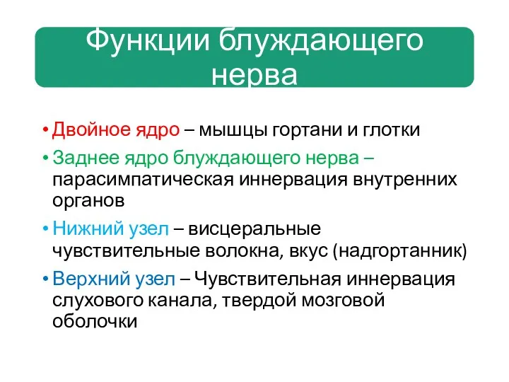 Двойное ядро – мышцы гортани и глотки Заднее ядро блуждающего нерва –