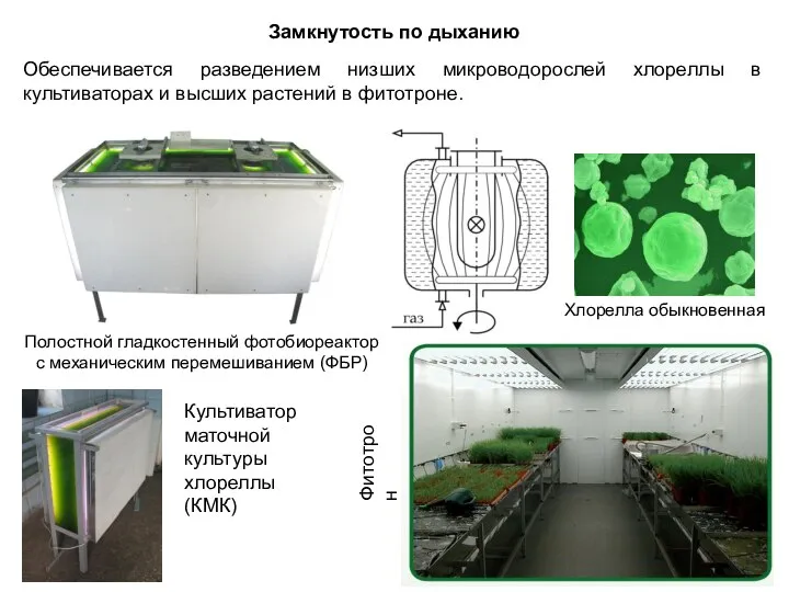 Замкнутость по дыханию Обеспечивается разведением низших микроводорослей хлореллы в культиваторах и высших