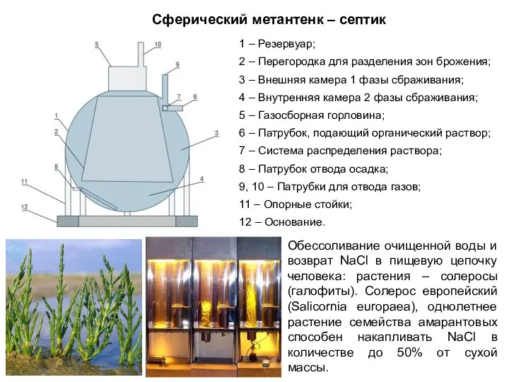 Сферический метантенк – септик 1 – Резервуар; 2 – Перегородка для разделения