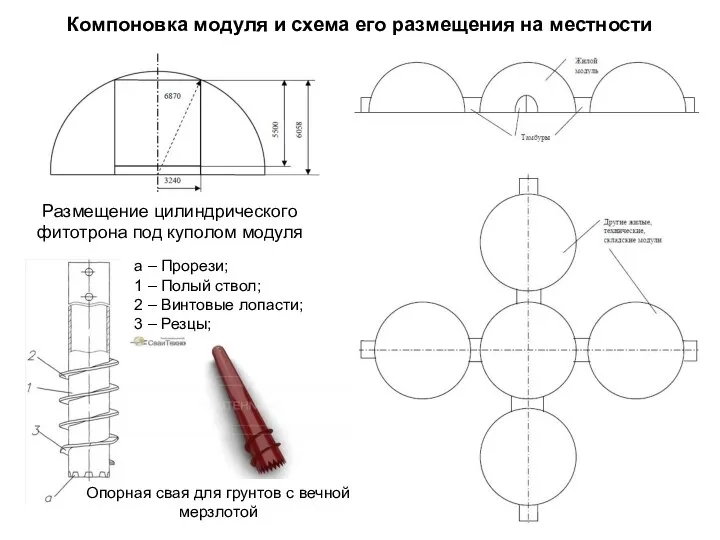 Компоновка модуля и схема его размещения на местности Размещение цилиндрического фитотрона под