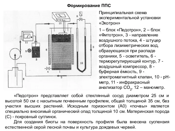 Формирование ППС Принципиальная схема экспериментальной установки «Экотрон» 1 – блок «Педотрон», 2