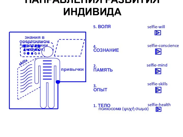 привычки 1. ТЕЛО 2. ПАМЯТЬ 3. ОПЫТ 4. СОЗНАНИЕ 5. ВОЛЯ знания