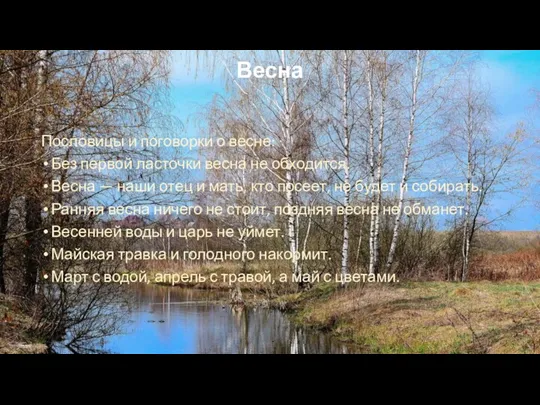 Весна Пословицы и поговорки о весне: Без первой ласточки весна не обходится.