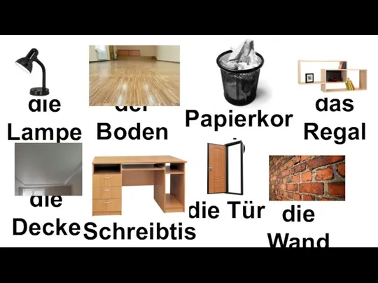 der Schreibtisch die Lampe die Decke die Wand der Papierkorb das Regal der Boden die Tür