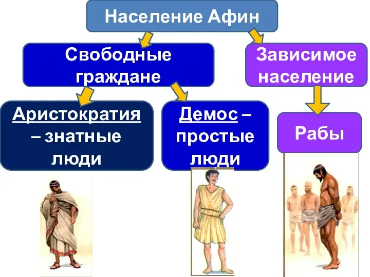 Население Афин Свободные граждане Зависимое население Аристократия – знатные люди Демос – простые люди Рабы