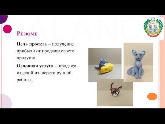 Резюме Цель проекта – получение прибыли от продажи своего продукта. Основная услуга