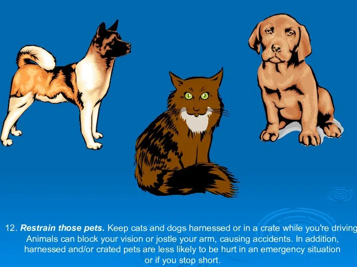 12. Restrain those pets. Keep cats and dogs harnessed or in a