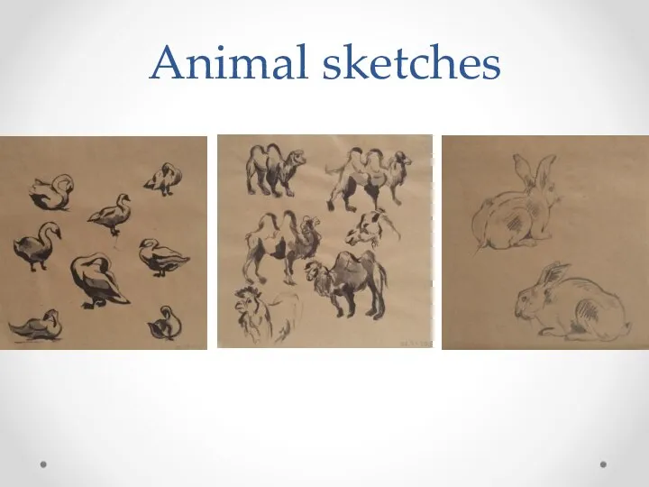 Animal sketches