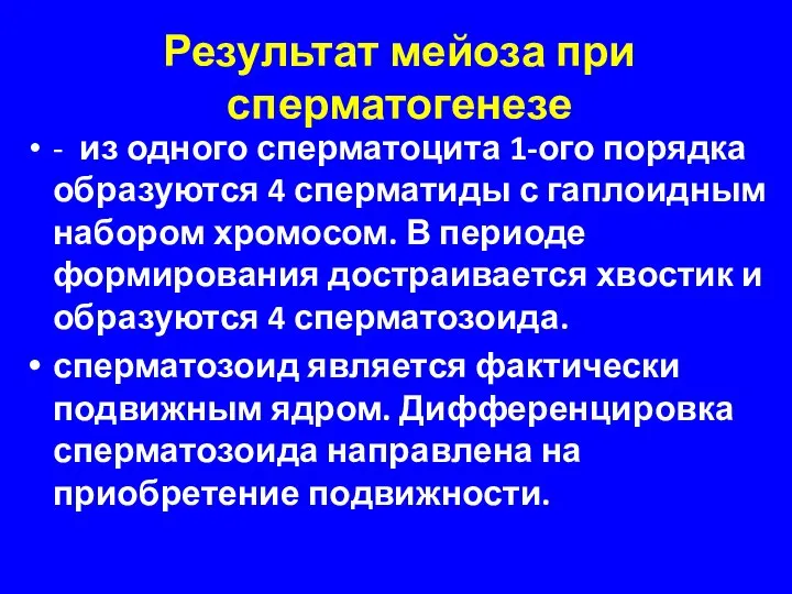 Результат мейоза при сперматогенезе - из одного сперматоцита 1-ого порядка образуются 4