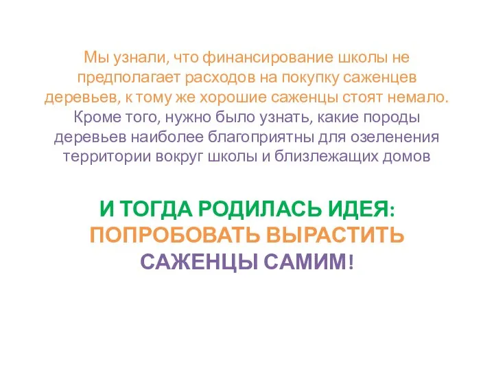 Мы узнали, что финансирование школы не предполагает расходов на покупку саженцев деревьев,