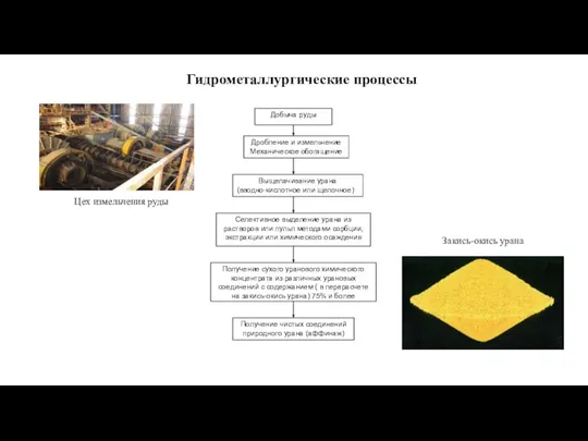 Гидрометаллургические процессы Цех измельчения руды Закись-окись урана