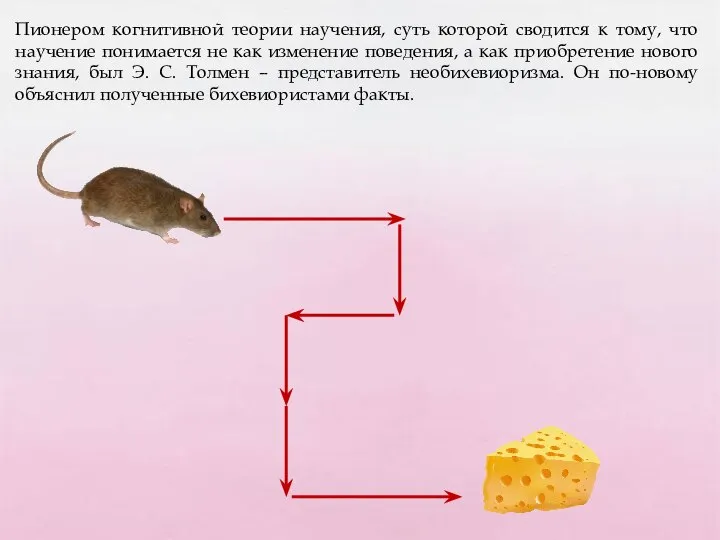 Пионером когнитивной теории научения, суть которой сводится к тому, что научение понимается