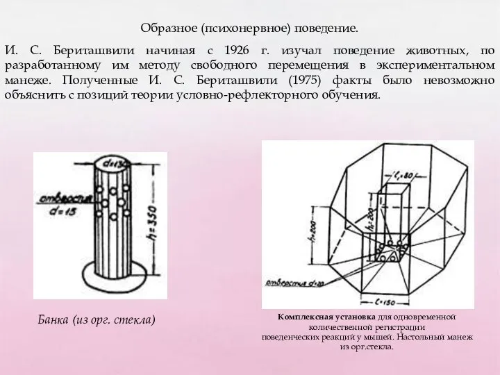 Образное (психонервное) поведение. И. С. Бериташвили начиная с 1926 г. изучал поведение