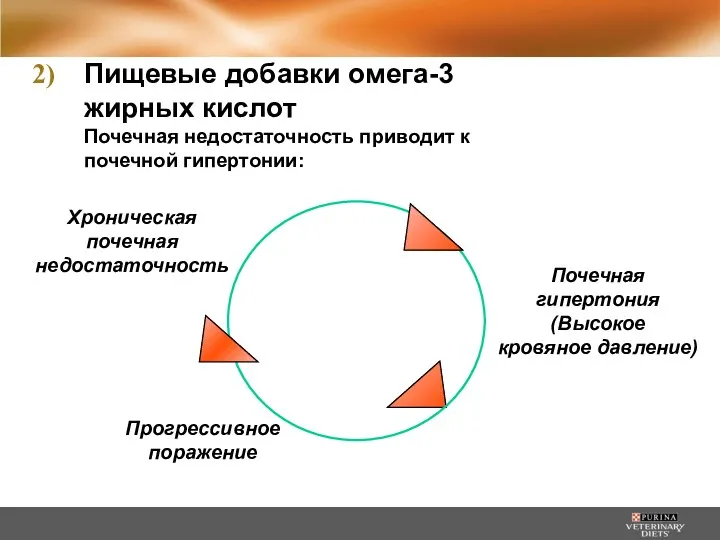 Хроническая почечная недостаточность Почечная гипертония (Высокое кровяное давление) Прогрессивное поражение Пищевые добавки