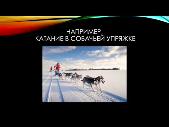 НАПРИМЕР, КАТАНИЕ В СОБАЧЬЕЙ УПРЯЖКЕ