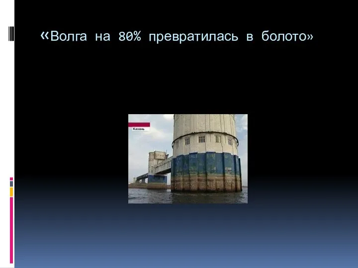 «Волга на 80% превратилась в болото»