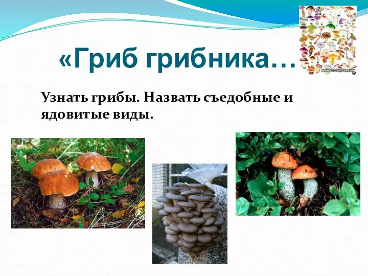 «Гриб грибника…» Узнать грибы. Назвать съедобные и ядовитые виды.
