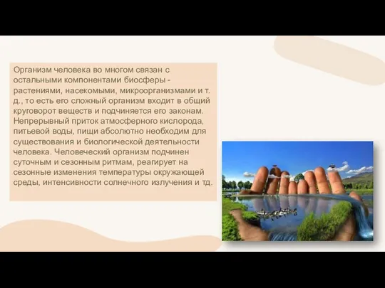 Организм человека во многом связан с остальными компонентами биосферы - растениями, насекомыми,