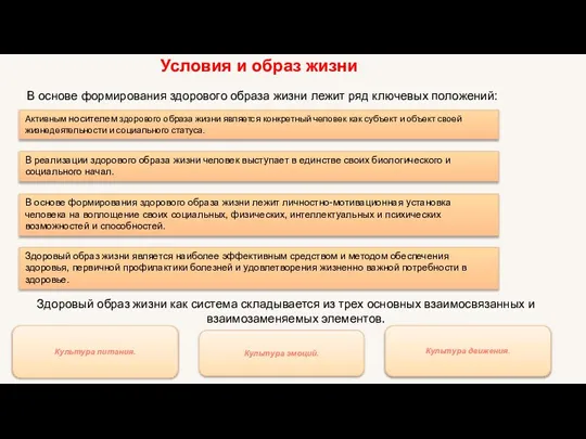 Условия и образ жизни Активным носителем здорового образа жизни является конкретный человек