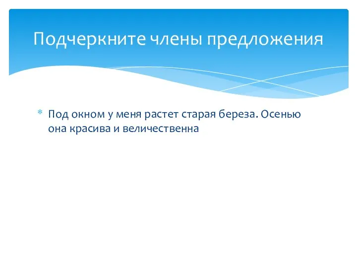 Под окном у меня растет старая береза. Осенью она красива и величественна Подчеркните члены предложения