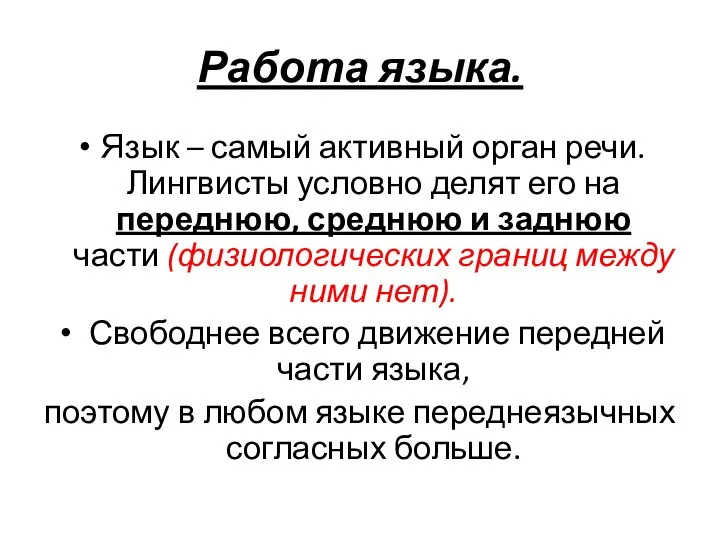 Работа языка. Язык – самый активный орган речи. Лингвисты условно делят его