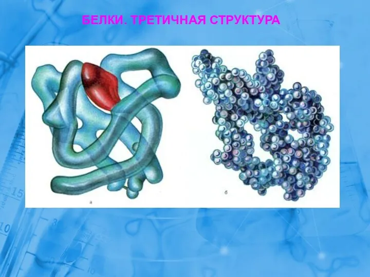 БЕЛКИ. ТРЕТИЧНАЯ СТРУКТУРА