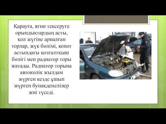 Қарауға, яғни тексеруге орындықтардың асты, қол жүгіне арналған торлар, жүк бөлімі, копот