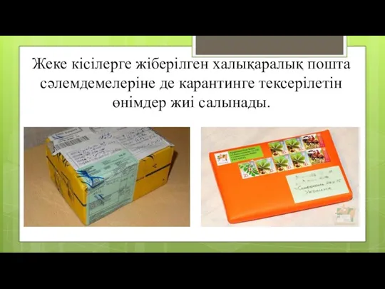 Жеке кісілерге жіберілген халықаралық пошта сәлемдемелеріне де карантинге тексерілетін өнімдер жиі салынады.