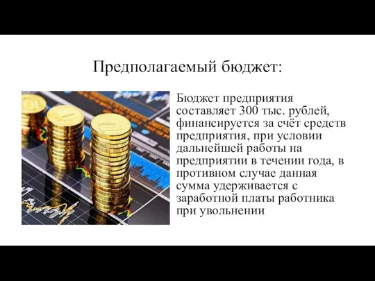 Предполагаемый бюджет: Бюджет предприятия составляет 300 тыс. рублей, финансируется за счёт средств