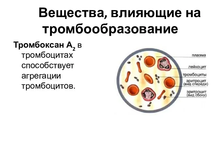 Вещества, влияющие на тромбообразование Тромбоксан А2 в тромбоцитах способствует агрегации тромбоцитов.