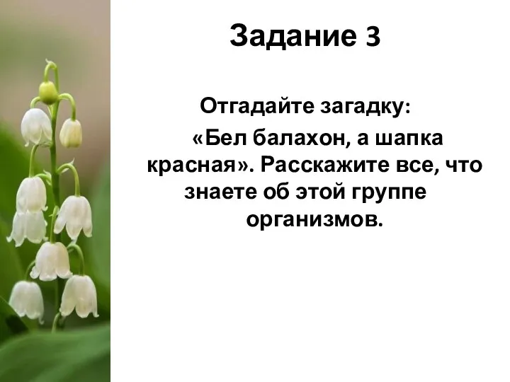 Задание 3 Отгадайте загадку: «Бел балахон, а шапка красная». Расскажите все, что