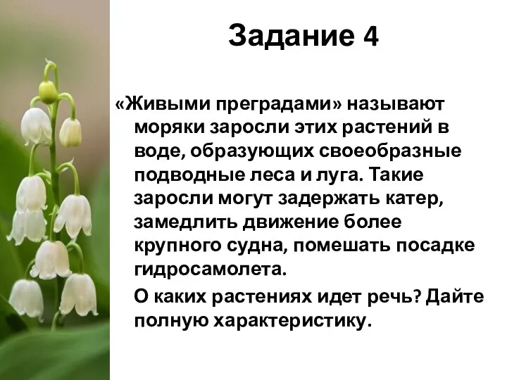 Задание 4 «Живыми преградами» называют моряки заросли этих растений в воде, образующих