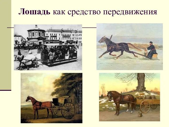 Лошадь как средство передвижения