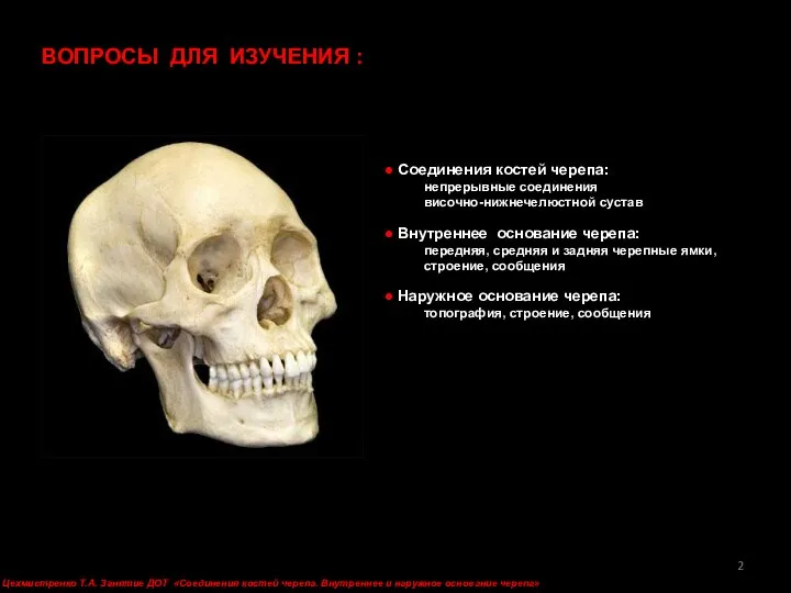 ● Соединения костей черепа: непрерывные соединения височно-нижнечелюстной сустав ● Внутреннее основание черепа: