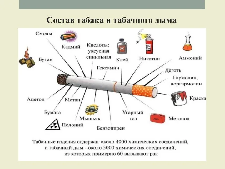Состав табака и табачного дыма