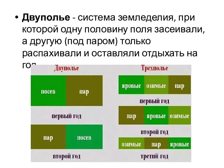 Двуполье - система земледелия, при которой одну половину поля засеивали, а другую