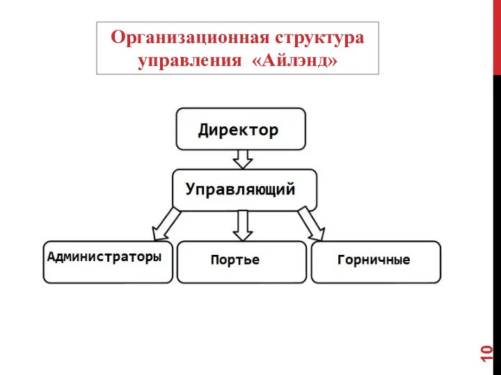 Организационная структура управления «Айлэнд»