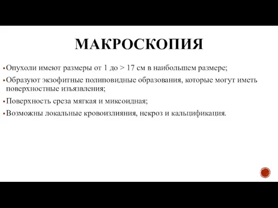 МАКРОСКОПИЯ Опухоли имеют размеры от 1 до > 17 см в наибольшем