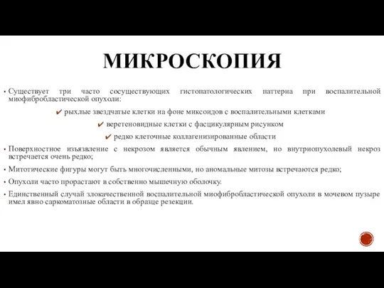 МИКРОСКОПИЯ Существует три часто сосуществующих гистопатологических паттерна при воспалительной миофибробластической опухоли: рыхлые