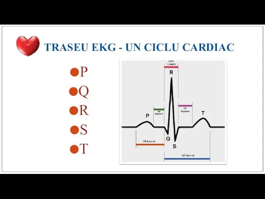 TRASEU EKG - UN CICLU CARDIAC P Q R S T