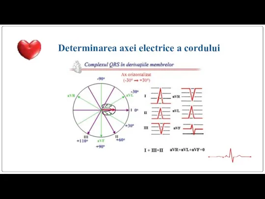 Determinarea axei electrice a cordului