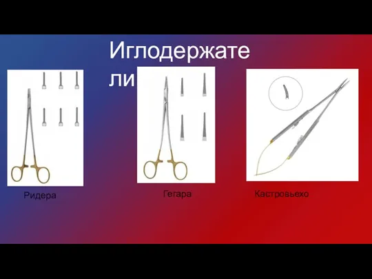 Ридера Гегара Кастровьехо Иглодержатели